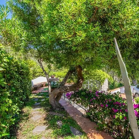 Denise Holiday home